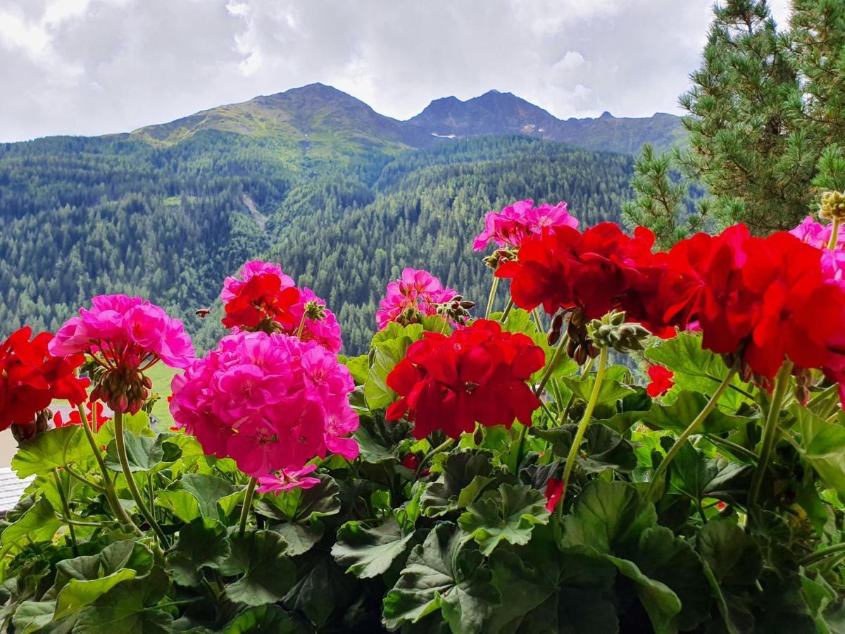 Sonneck Appartement Pettneu am Arlberg